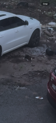 Found/Stray Unknown Cat last seen Little ferry Wells Fargo bank, Little Ferry, NJ 07643