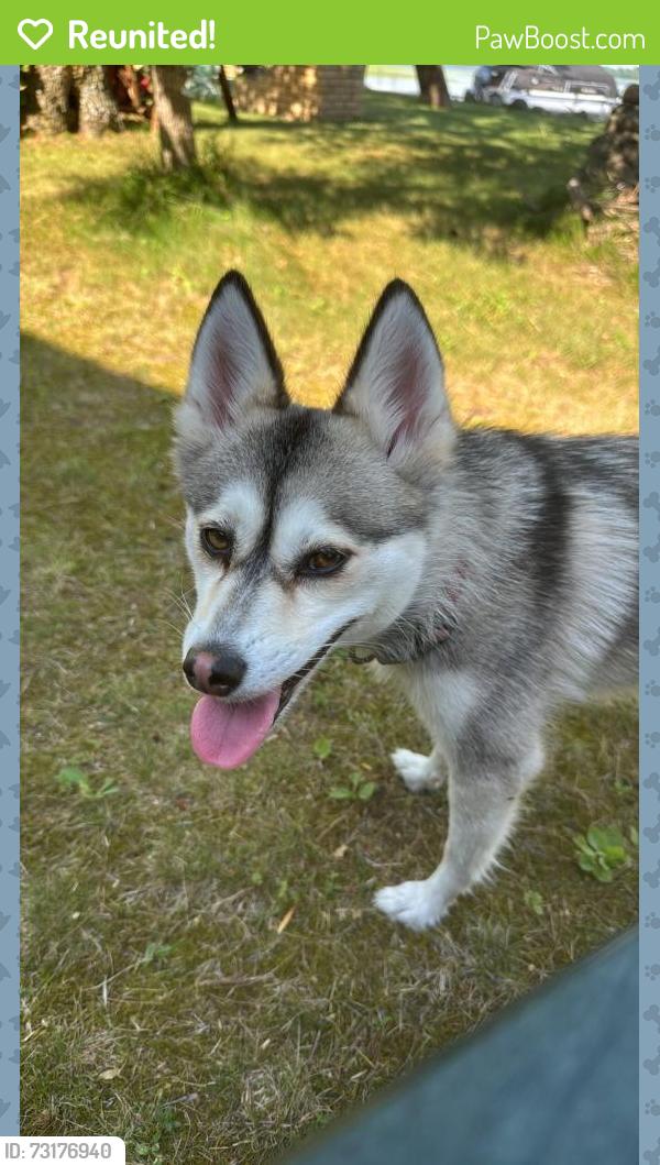 Reunited Female Dog last seen Randolph & S. Chatsworth, Saint Paul, MN 55102
