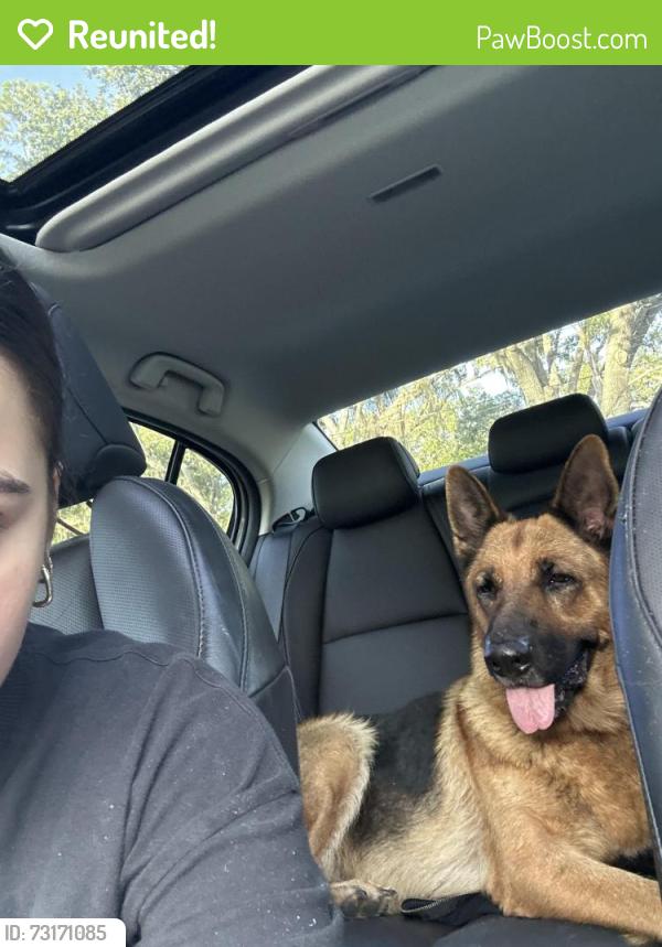 Reunited Female Dog last seen Bearss, Tampa, FL 33613