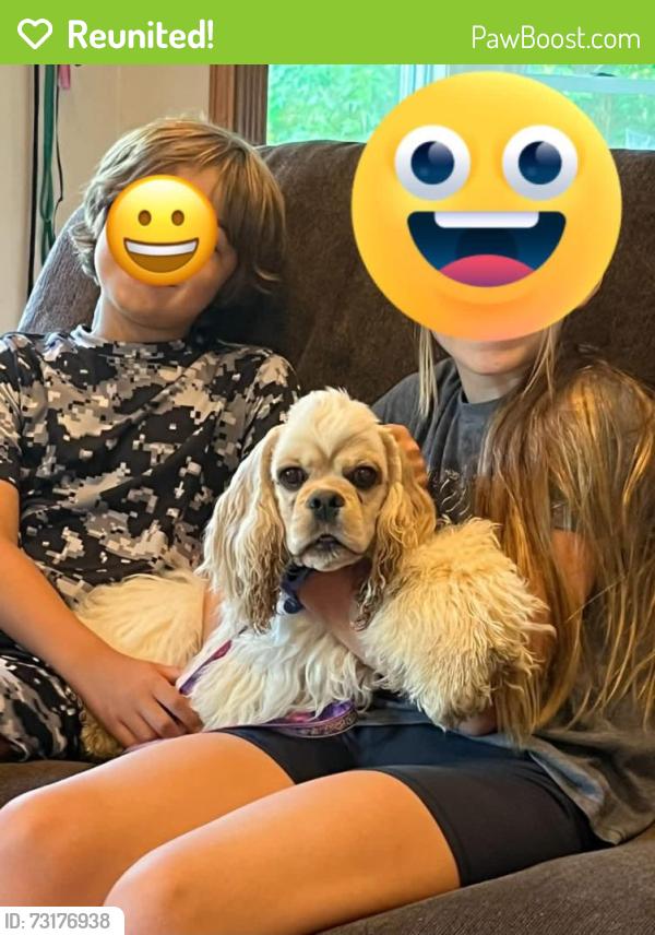 Reunited Female Dog last seen Meadow Drive, La Grange, KY 40031