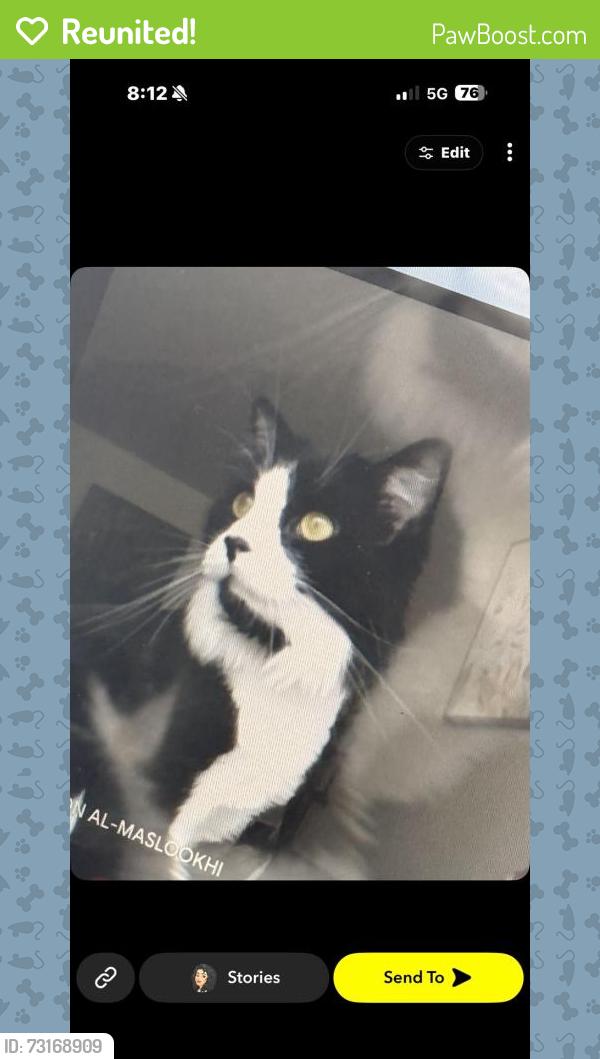 Reunited Male Cat last seen Bayshore area, Ottawa, ON 