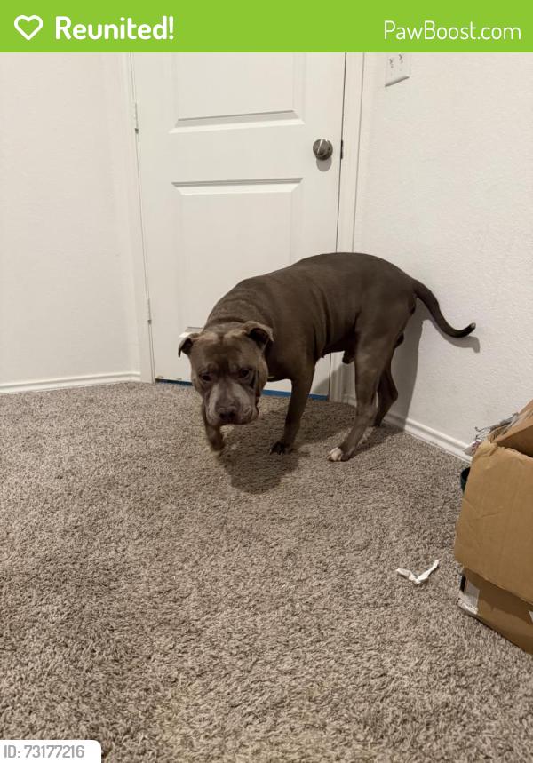 Reunited Male Dog last seen Near, Austin, TX 78747