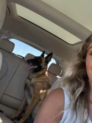 Reunited Female Dog last seen MacArthur Blvd, Newport Beach, CA, USA, Newport Beach, CA 92660