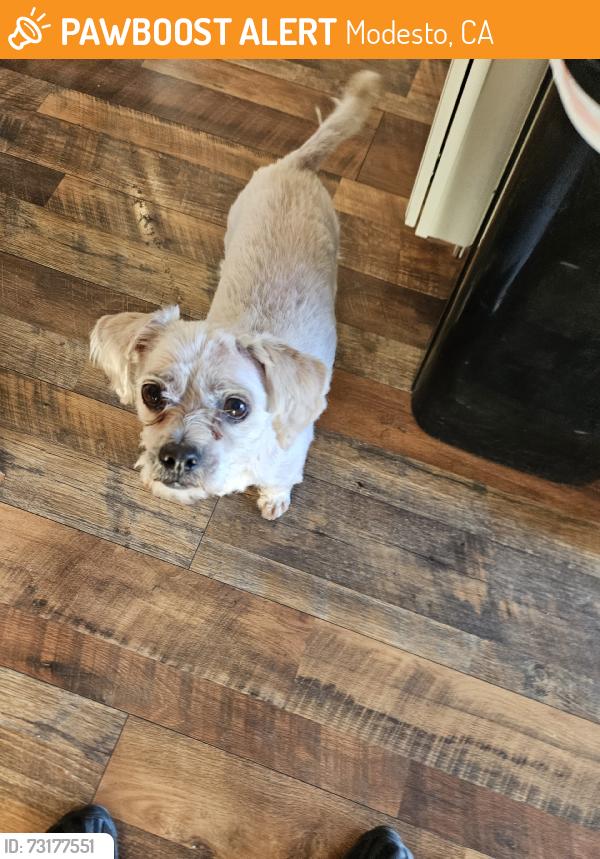 Found/Stray Male Dog last seen Grayson, Modesto, CA 95358