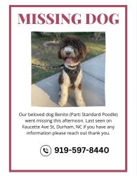 Reunited Male Dog last seen Faucette Ave St, Durham, NC, Durham, NC 27704