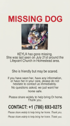 Lost Female Dog last seen Life Pointe Church, Homestead, FL 33032