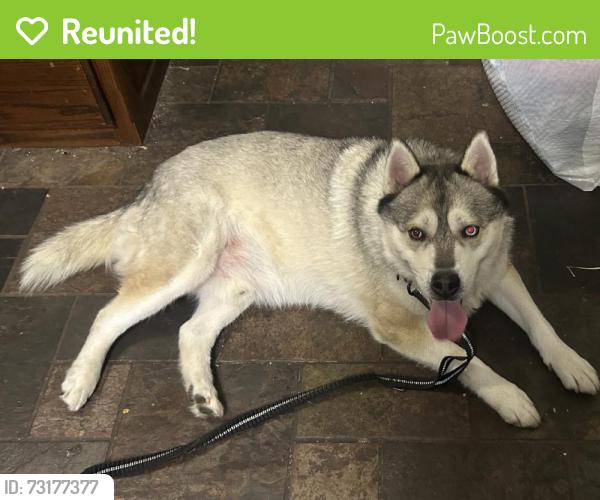 Reunited Male Dog last seen Lone Pine Ln, Fort Worth, TX 76108, USA, Fort Worth, TX 76108