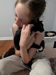 Reunited Female Cat last seen Sunline and Lake Forest, Spartanburg, SC 29307