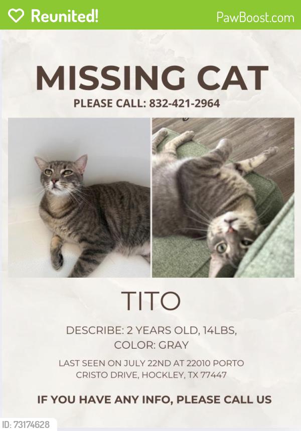Reunited Male Cat last seen Near Porto Cristo Dr, Hockley, TX 77447, USA, Hockley, TX 77447