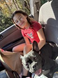 Lost Female Dog last seen Osceola parkway, Kissimmee, FL 34743