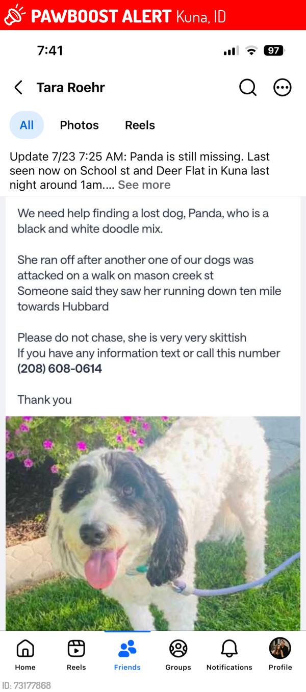 Lost Female Dog last seen Last seen at 1am on School St and Deer flt Rd in Kuna running towards Hubbard., Kuna, ID 83634