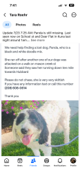 Lost Female Dog last seen Last seen at 1am on School St and Deer flt Rd in Kuna running towards Hubbard., Kuna, ID 83634