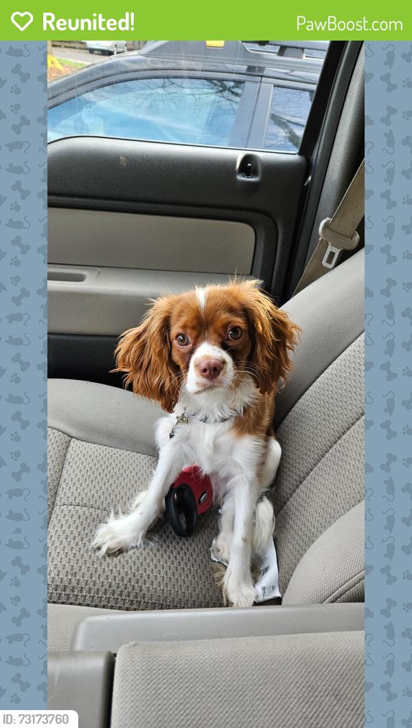 Reunited Male Dog last seen Jordan road & air park rd, Jefferson County, OR 97734