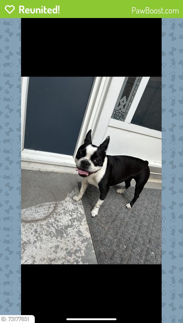 Reunited Unknown Dog last seen Wascana highlands, Regina, SK 
