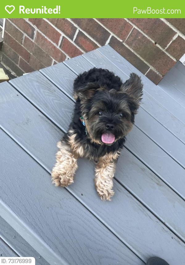 Reunited Female Dog last seen Eastern St by Woodfield apmts, Grand Rapids, MI 49508