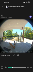 Lost Unknown Dog last seen Meridian & Hamilton, San Jose, CA 95125