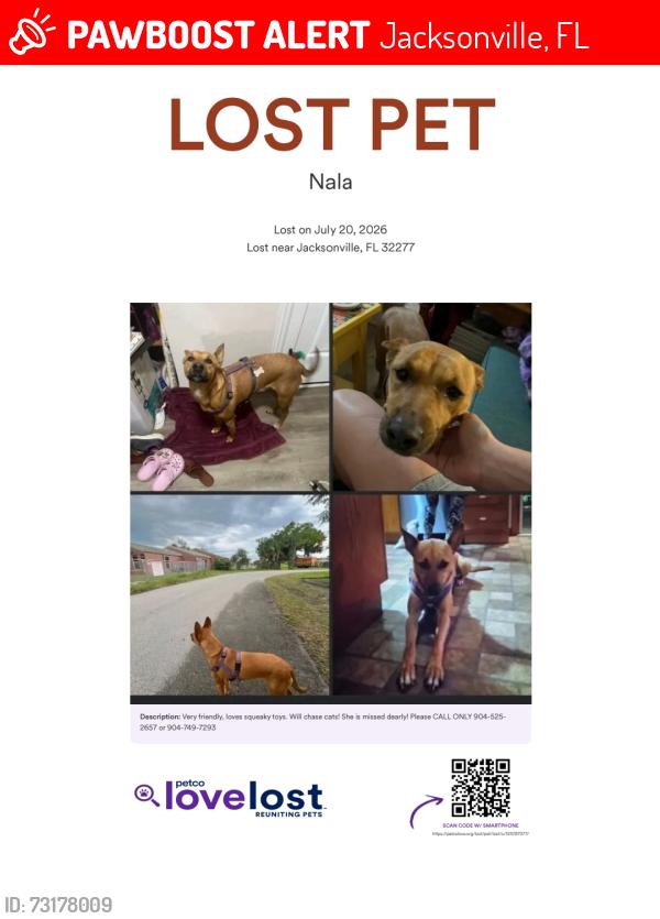 Lost Female Dog last seen Near university club blvd, Jacksonville, FL 32277