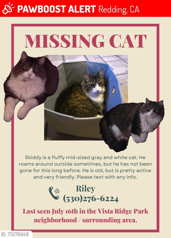 Lost Male Cat last seen Highland Park, Redding, CA 96003