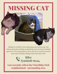 Lost Male Cat last seen Highland Park, Redding, CA 96003