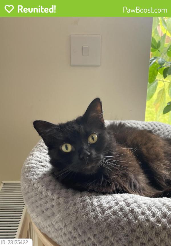 Reunited Female Cat last seen Tay road New Lubbesthorpe, Leicestershire, England 