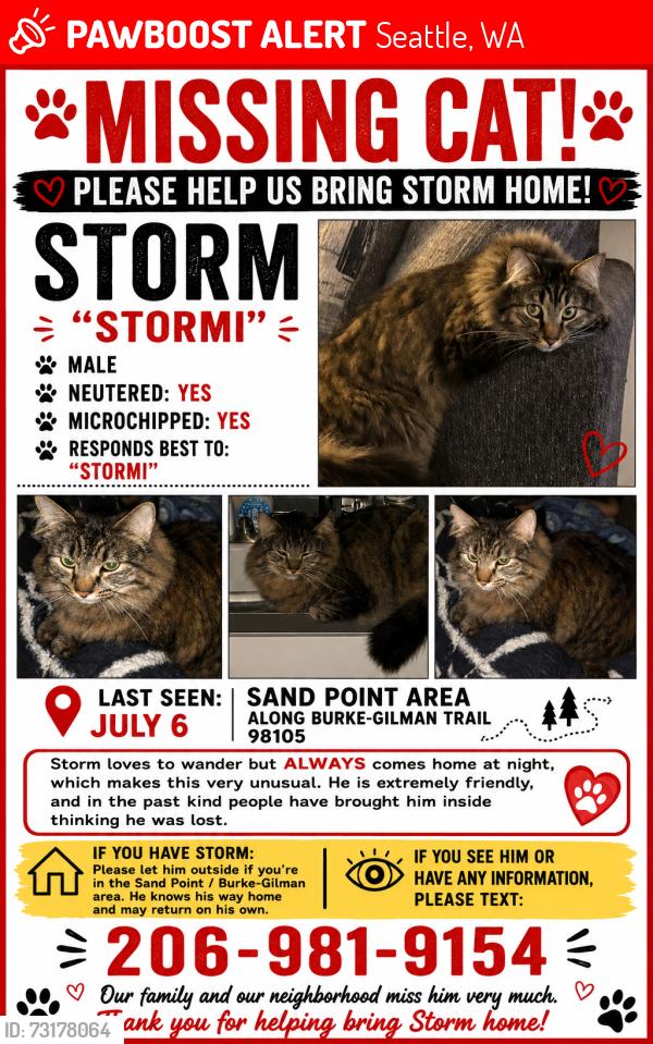 Lost Male Cat last seen Burke Gilman trail near metropolitan market, Seattle, WA 98105