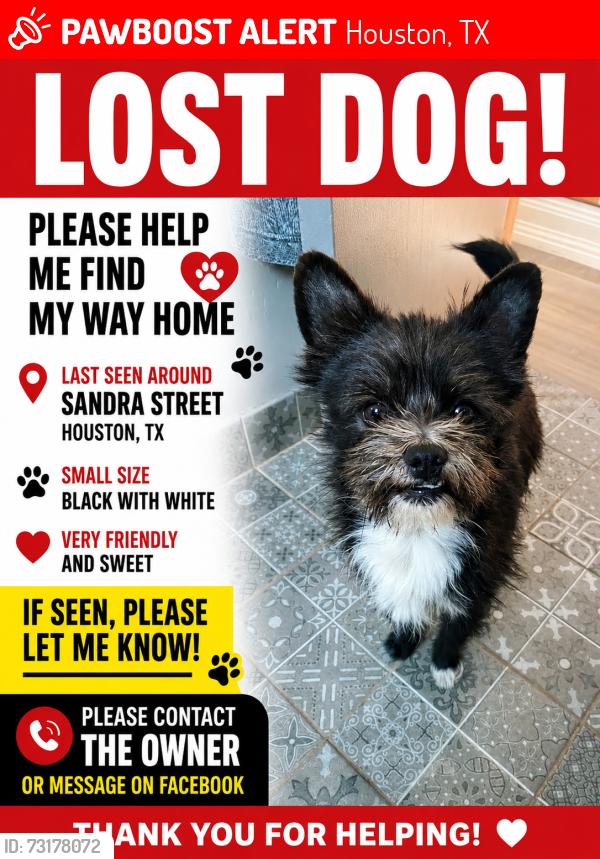 Lost Male Dog last seen Sanders st, Houston, TX 77028