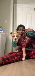 Lost Male Dog last seen Decatur, Atlanta, GA 30350