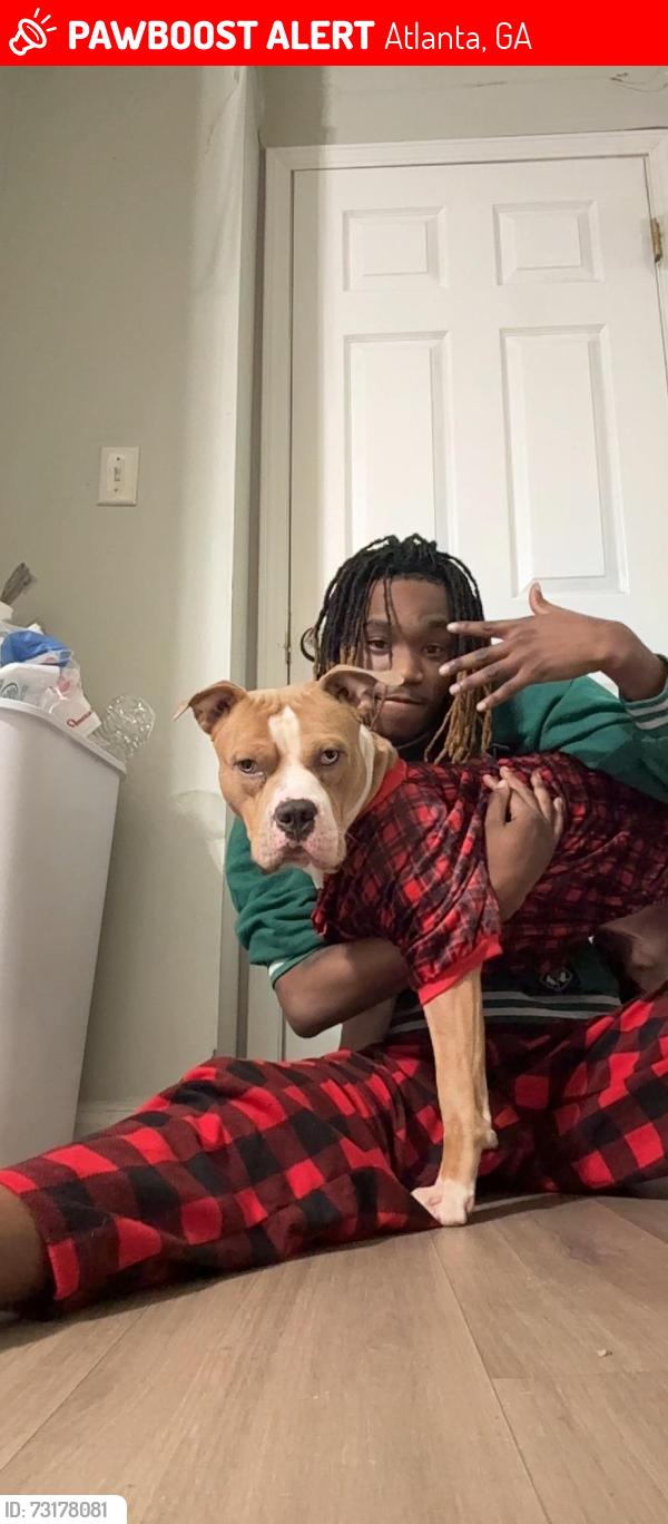 Lost Male Dog last seen Decatur, Atlanta, GA 30350