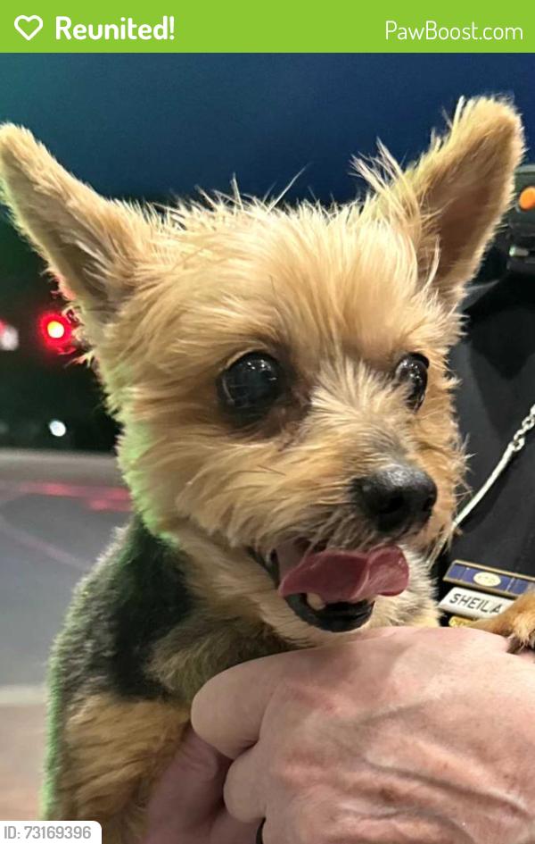 Reunited Female Dog last seen University Parkway, High Point, NC 27265