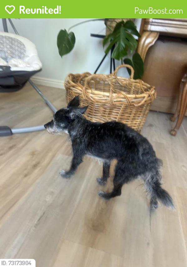 Reunited Female Dog last seen Custer, Fruitland, ID 83619
