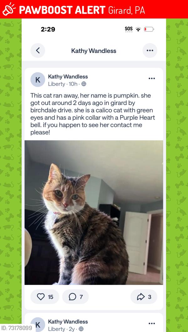 Lost Female Cat last seen Near birchdale drive, Girard, PA 16417