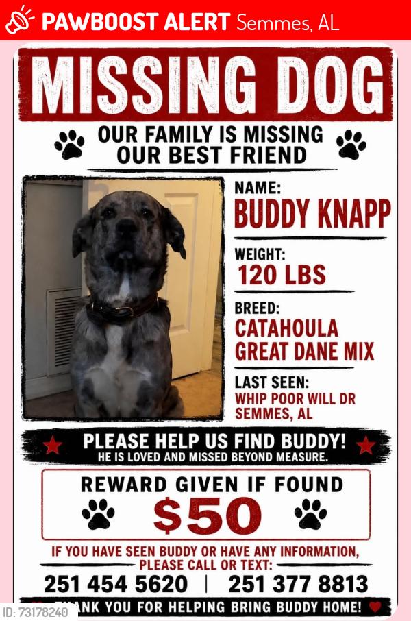 Lost Male Dog last seen Howells ferry and Snow Rd, Semmes, AL 36575