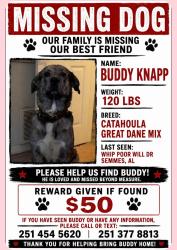 Lost Male Dog last seen Howells ferry and Snow Rd, Semmes, AL 36575