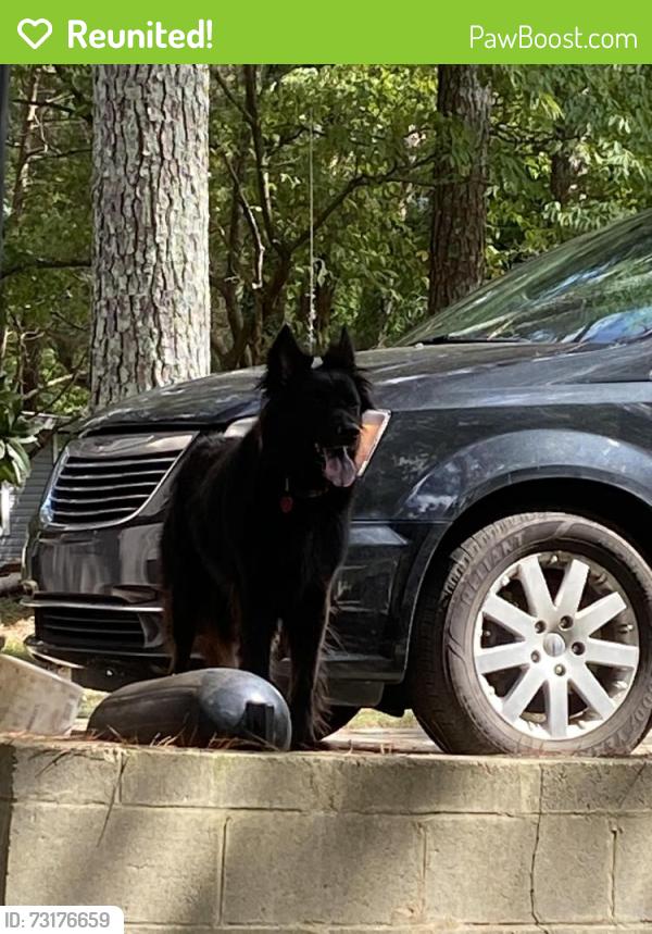 Reunited Unknown Dog last seen Hickory Pl and Raintree Trace, Oakwood, GA 30566