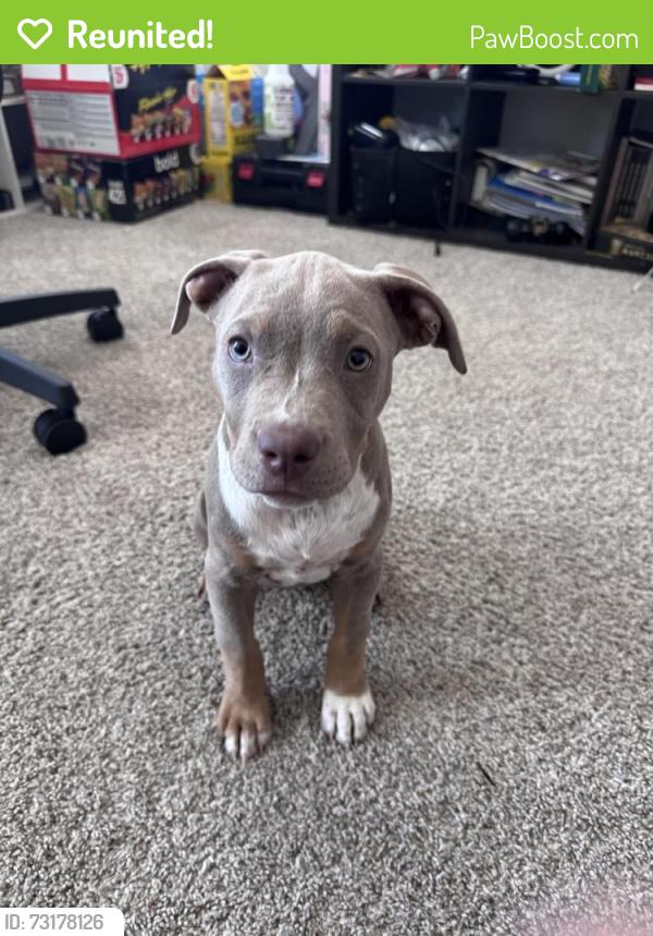 Reunited Female Dog last seen E 94th Ave, Commerce City, CO 80022
