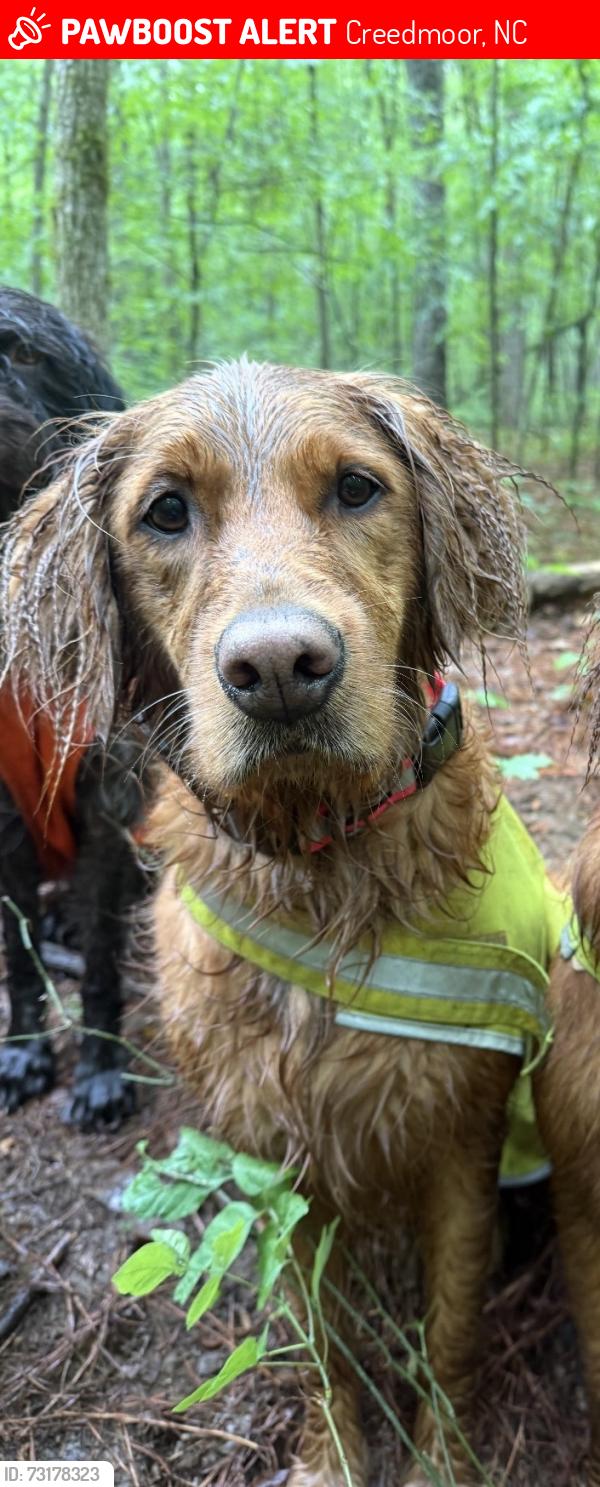 Lost Male Dog last seen Hwy 15 and Winston road near Bulloch United Methodist Church, Creedmoor, NC 27522