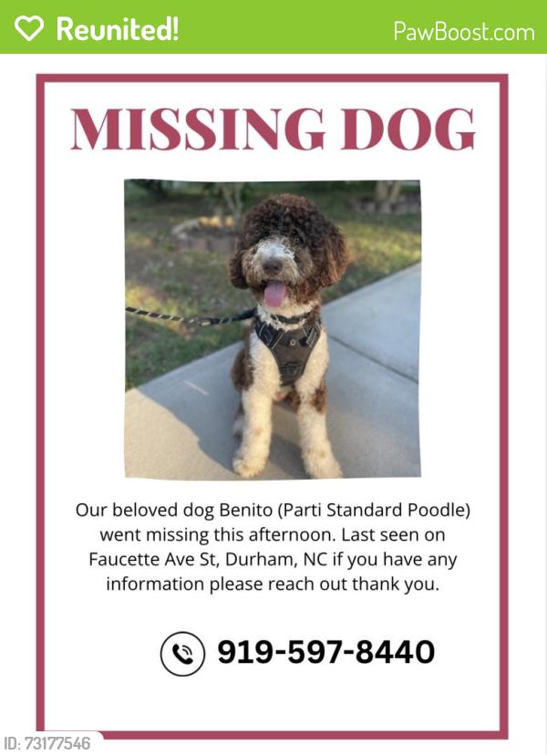 Reunited Male Dog last seen Faucette Ave St, Durham, NC, Durham, NC 27704