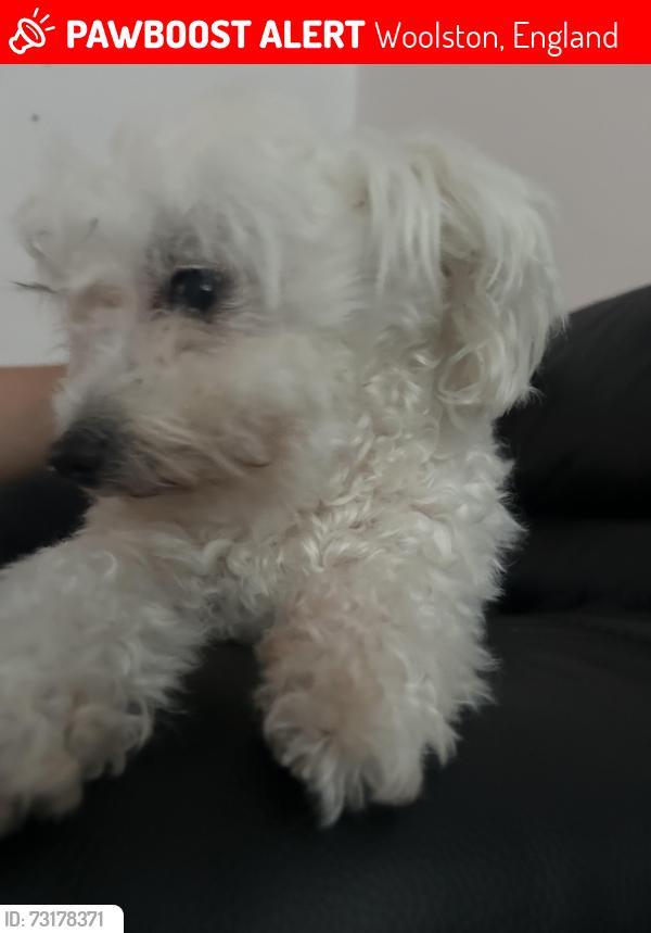 Lost Female Dog last seen Kitchen bridge, Woolston, England 