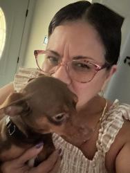 Reunited Male Dog last seen Justin Rd N, Jacksonville, FL 32210
