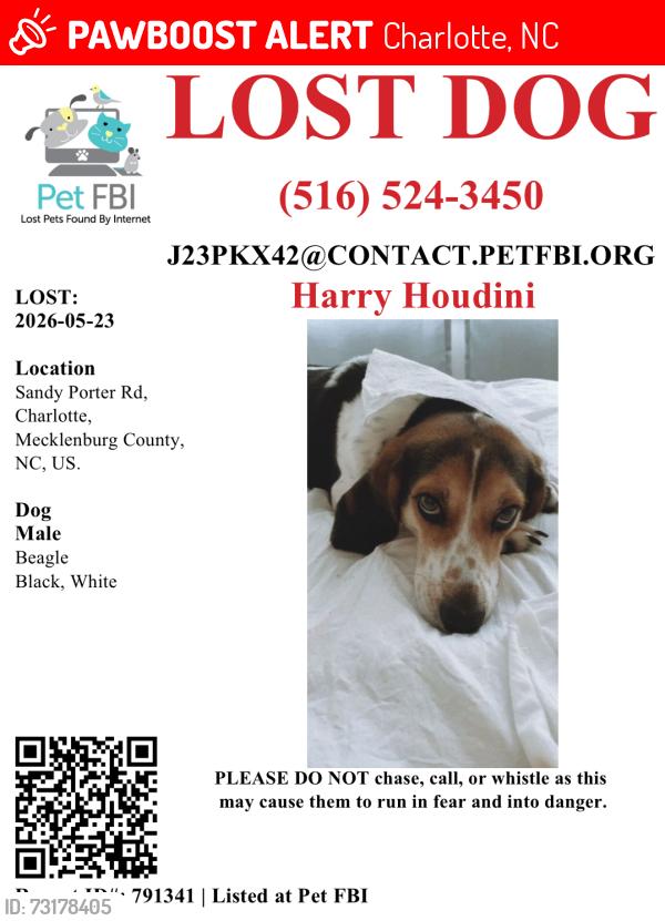 Lost Male Dog last seen Cedar Run/Sandy Porter Rd, Charlotte, NC 28273