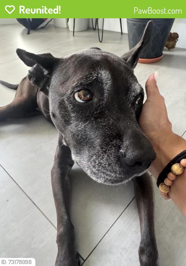 Reunited Female Dog last seen Coral Pointe close to Windsor apmts, Coconut Creek, FL 33073