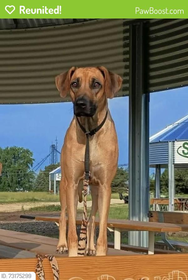 Reunited Female Dog last seen Rocky Top Worship Center, Rocky Top, TN 37769