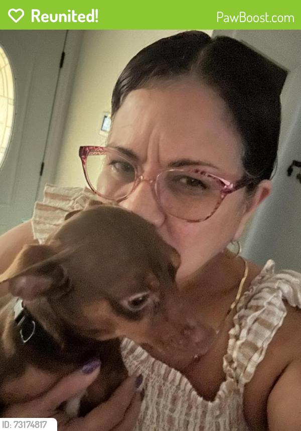 Reunited Male Dog last seen Justin Rd N, Jacksonville, FL 32210