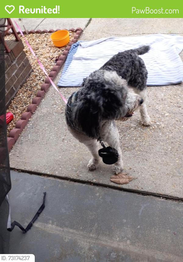Reunited Male Dog last seen Barwick dr, Fayetteville, NC 28304