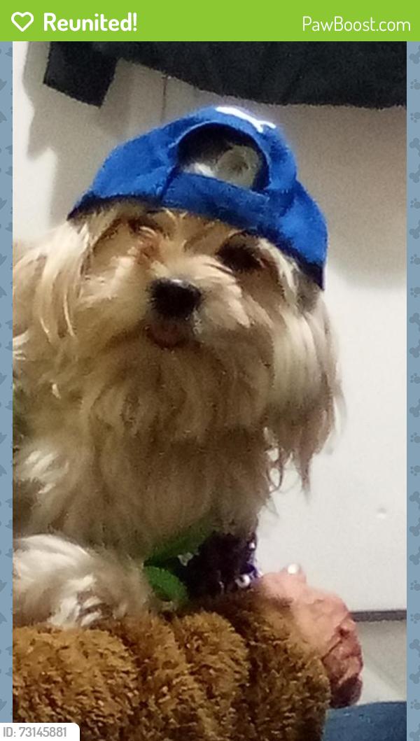 Reunited Male Dog last seen ,95 st 118 ave, Edmonton, AB 