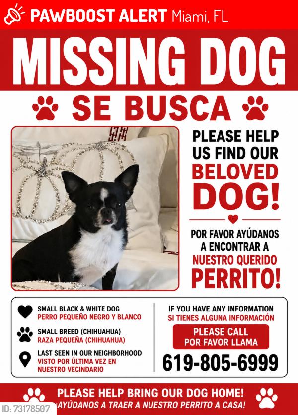 Lost Female Dog last seen 87th avenue, Miami, FL 33176