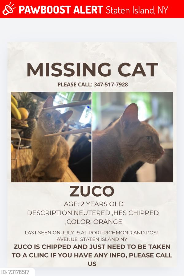 Lost Male Cat last seen Post avenue, Staten Island, NY 10302