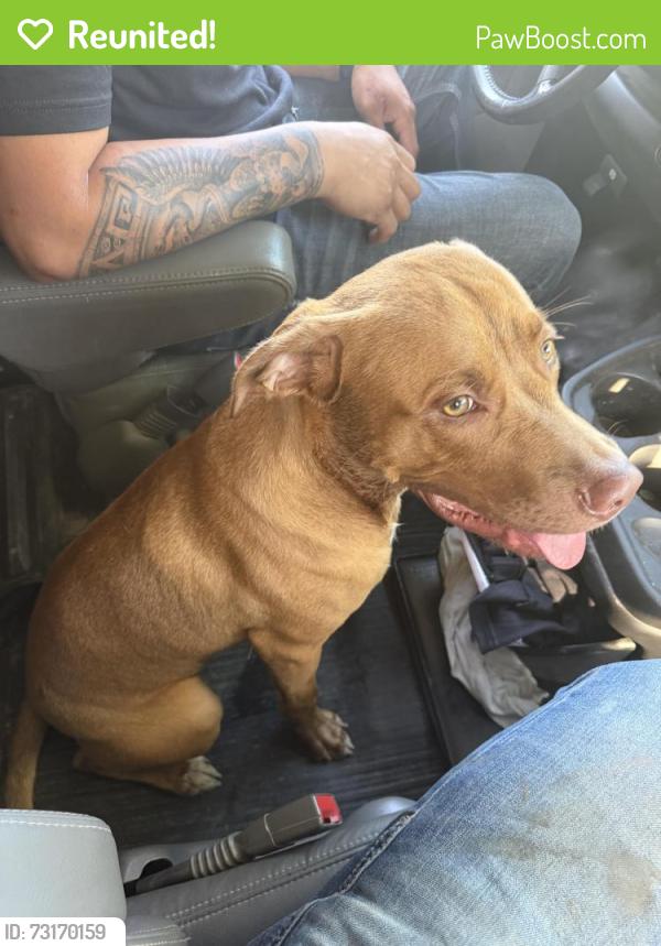 Reunited Male Dog last seen Wassal and Pattie, Wichita, KS 67216