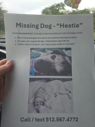 Reunited Female Dog last seen Bobbi Colorado's Canine Camp, Austin, TX 78736