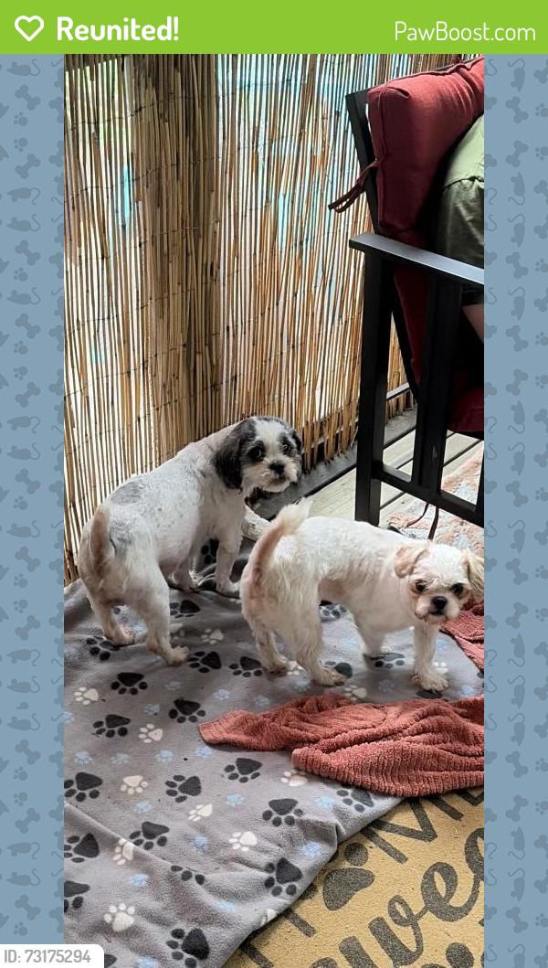 Reunited Unknown Dog last seen Youngsville, NC 27596, USA, Youngsville, NC 27596